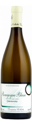 Bourgogne Chardonnay - Domaine Collotte