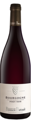 Bourgogne Pinot Noir - Domaine Buisson-Battault